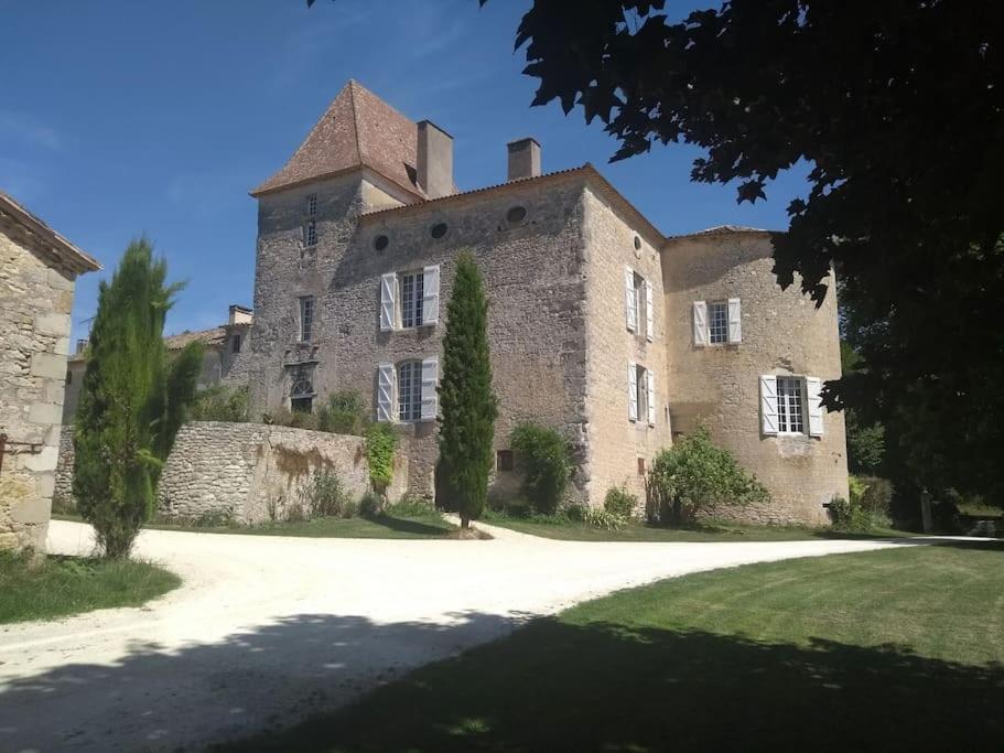 Chateau Barayre - Beautiful 12Th Century Castle With Pool And Large Garden Laussou Extérieur photo