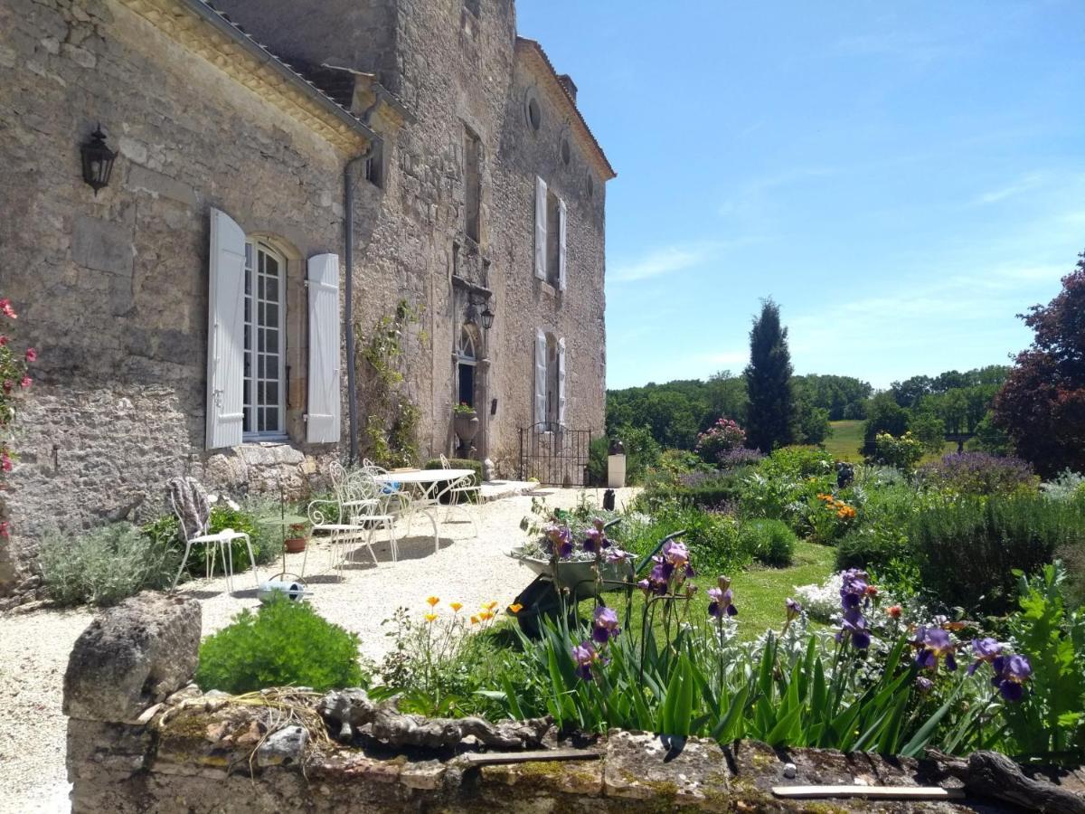 Chateau Barayre - Beautiful 12Th Century Castle With Pool And Large Garden Laussou Extérieur photo